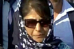 PDP, BJP stake claim to form J&K govt; Mehbooba says states peace, development will be only a